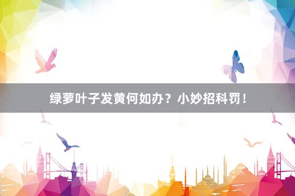 绿萝叶子发黄何如办？小妙招科罚！