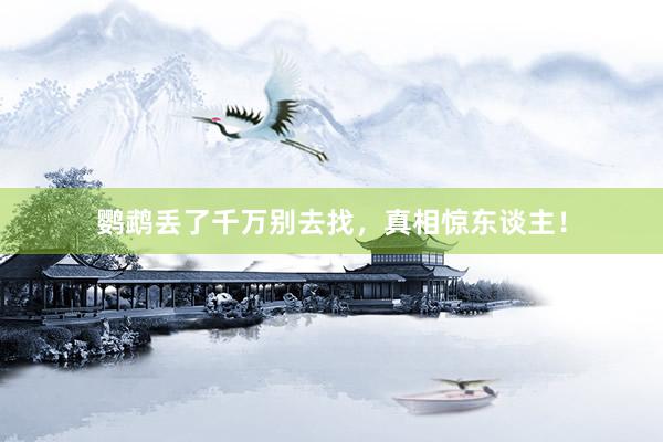 鹦鹉丢了千万别去找，真相惊东谈主！
